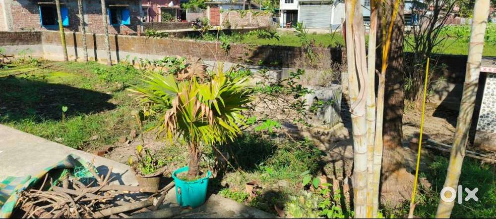 Land in Key Location Kadamtala