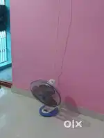 Table fan orient