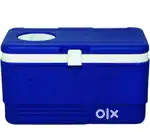 Ice box 60 ltr (1 month old) on ₹1800/-
