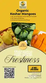 Organic Keshar Mango