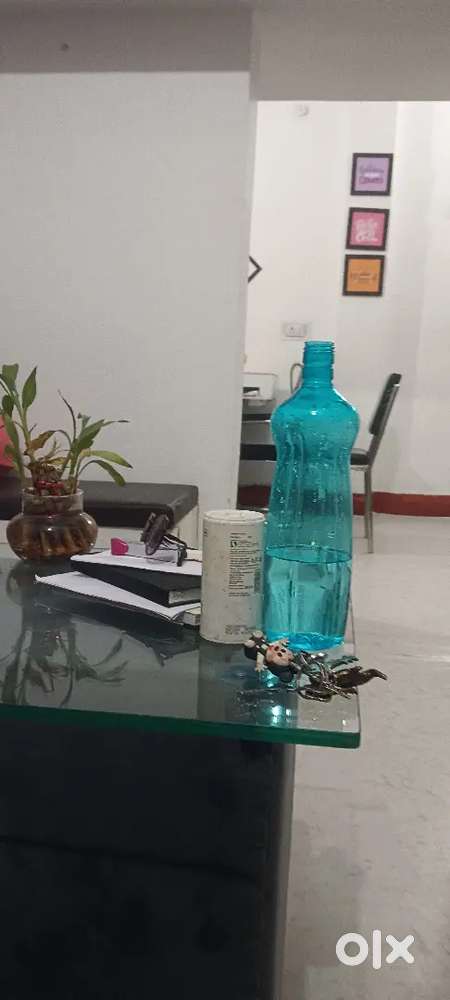 Sales man real estate site visiter