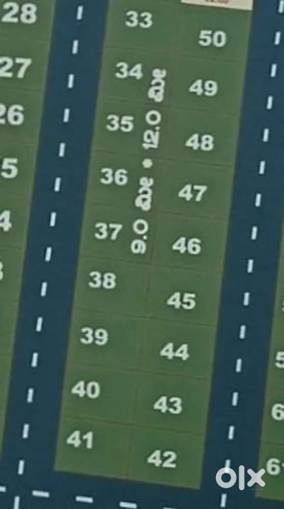 Full NA  Developed area