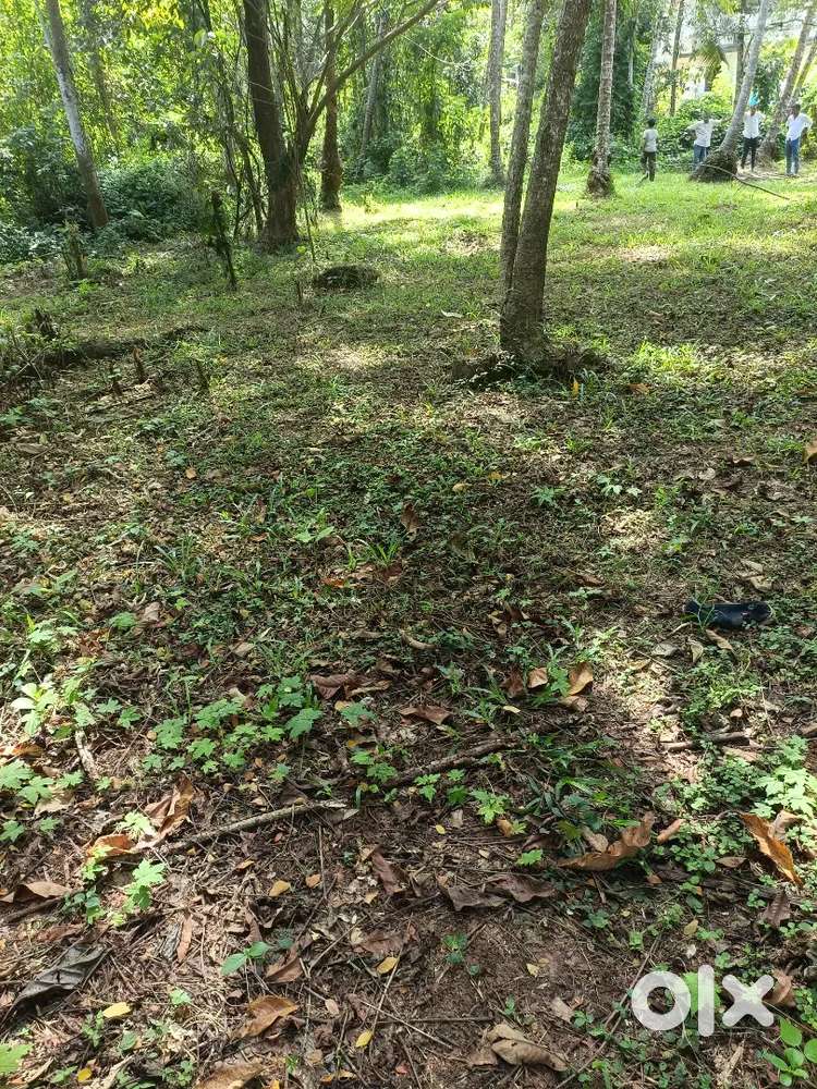 2 km far away from kannur international airport