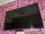 Treeview company tv