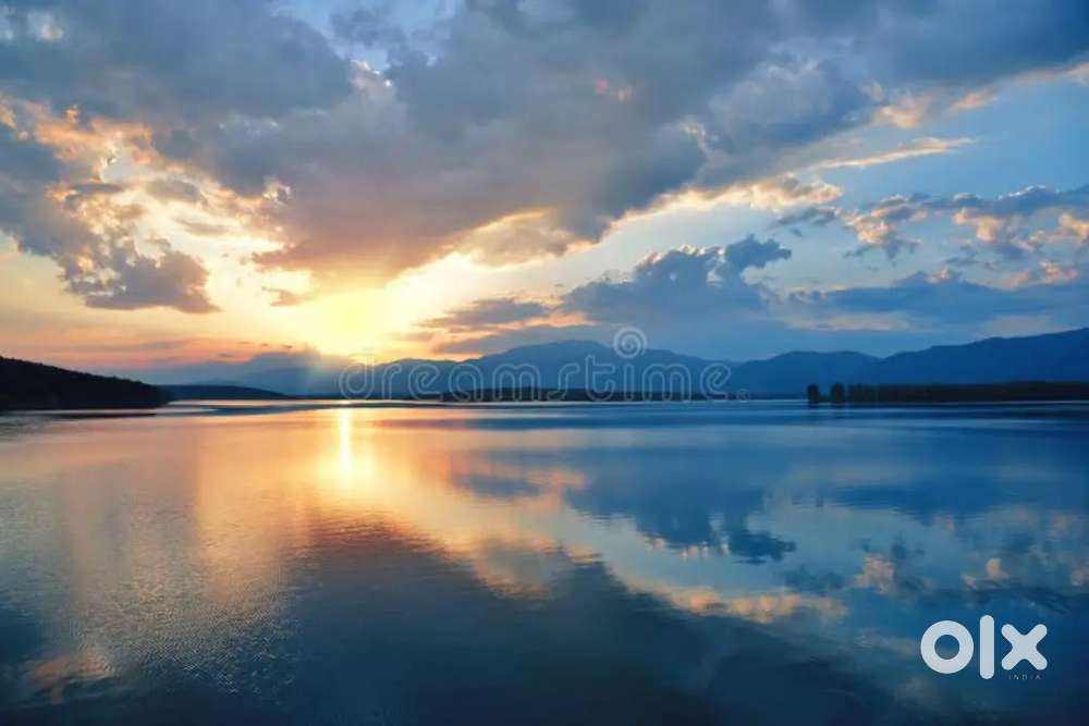 Need 2 bhk near to regal square