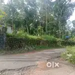 പൂവണ്ണും മൂട്ടിൽ 16 സെൻ്റ് സ്ഥലം ഒരു സെൻ്റിന് 1.75 ലക്ഷം