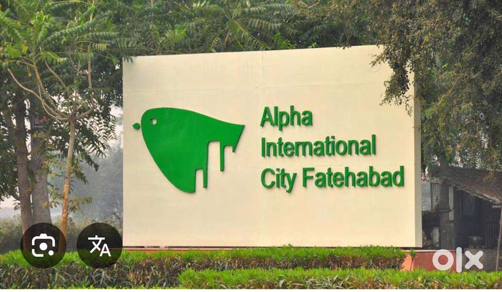 Sell my plot in alpha city