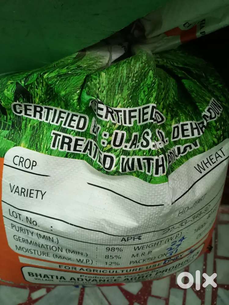 Sambha pure rice