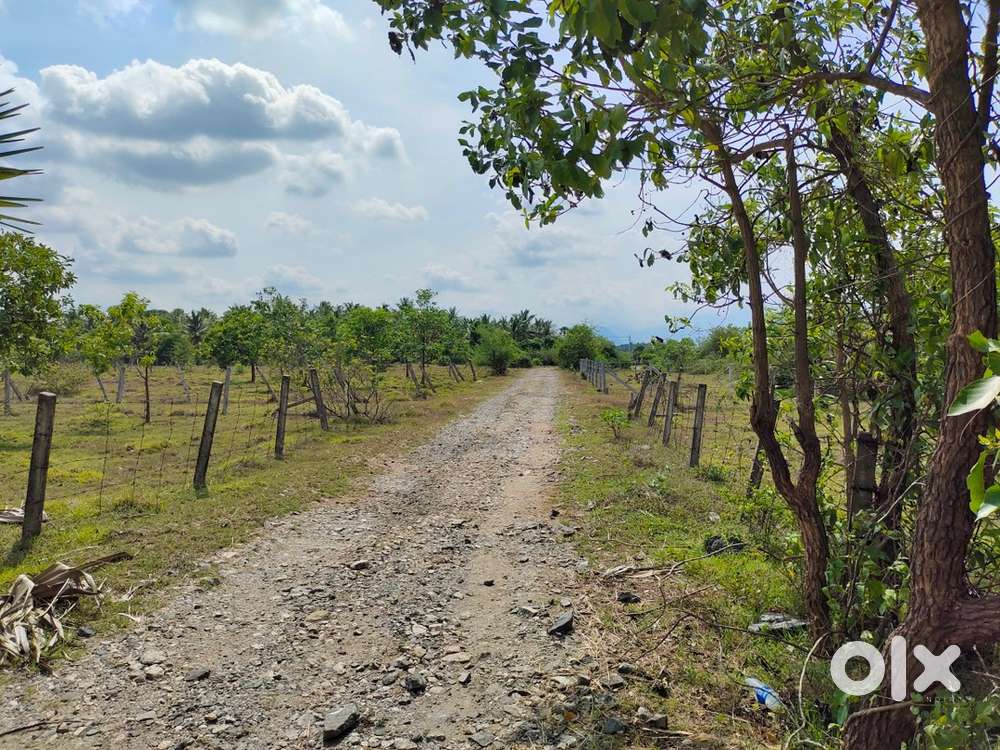 House plot sale kanjikode elapully