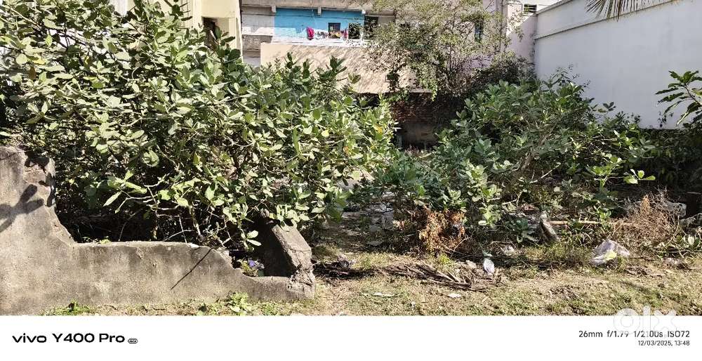 Annapurna colony,Ganesh nager Bilaspur