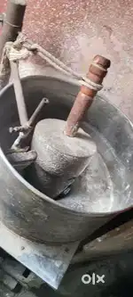 dosa glander