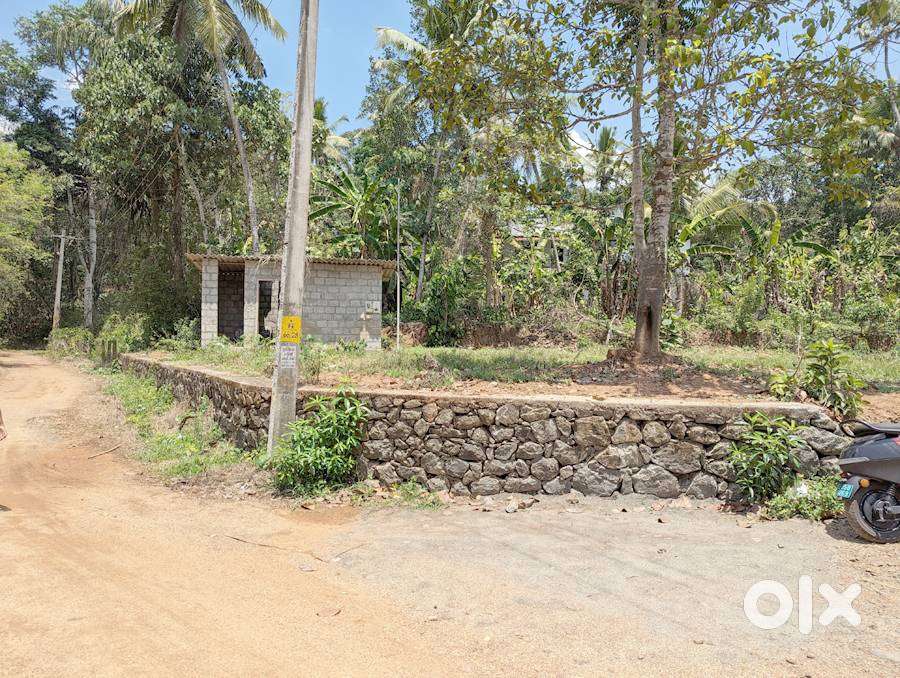 House plot 21 cents near Kuruppumthara 850 meters 1.40 lakh/cent