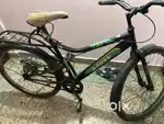 2 Year old cycle