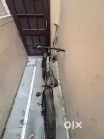 Fat tyre cycle for sale