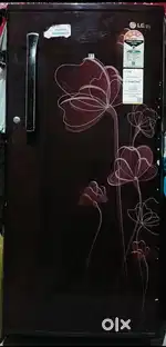 LG fridge power cut evercool cool