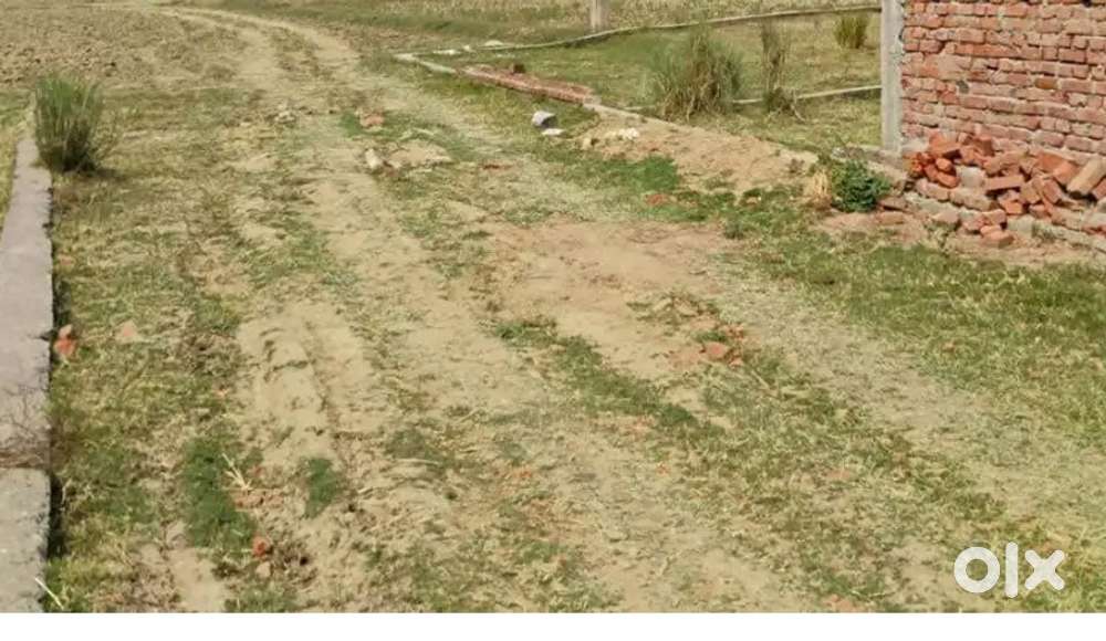 Farmhouse in nearby chomu