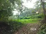 Karukachal.nedukuntham.1.acare.80.cent.total.prize.62.lakh