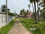 5 to 10 cents Residential Plot  at North Kumbalangi , Kochi  for sale