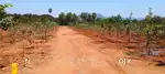 Fram land project at kothavalasa