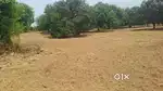 ROOTED IN NATURE, GROWN FOR YOUR FUTURE