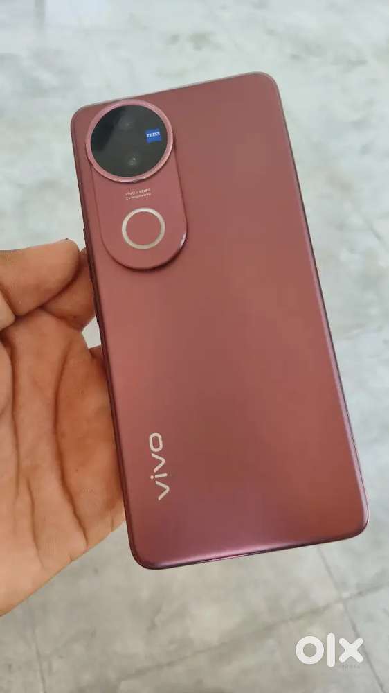 Vivo v50 8-256