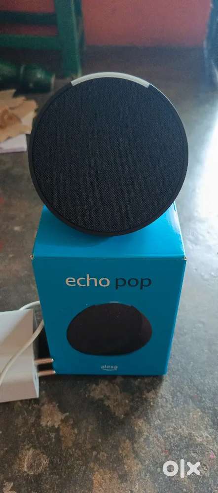 Alexa Echo pop