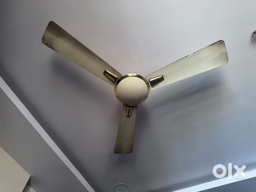 6 crompton 1200 mm Seiling fans