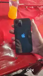 Iphone 13 alpine green