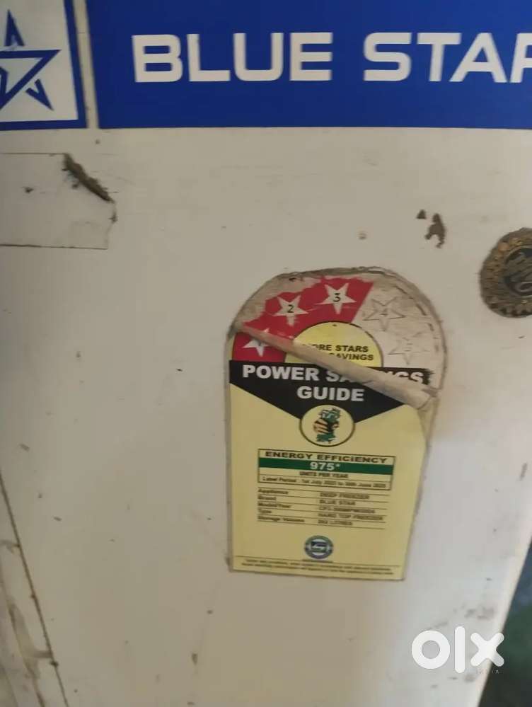 Blue Star freezer