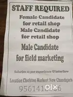 Marketing Executive