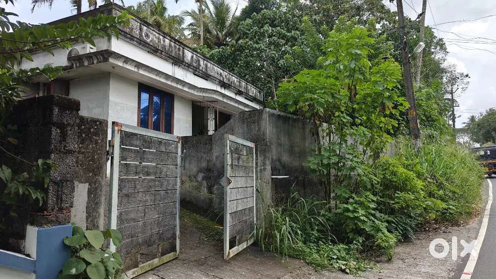 9 cent plot area kallayam vattapara