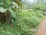 Vengeri 20 Cent House Plot