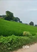 Farmhouse land