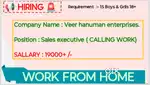 Sales executive (calling work)
