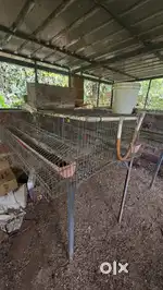 Cage for poultry purpose , 2 cage brand new