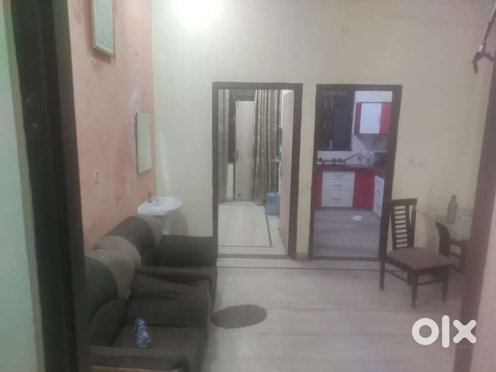 2 BHK FULLY FURNISHED FLAT RAJA PARK