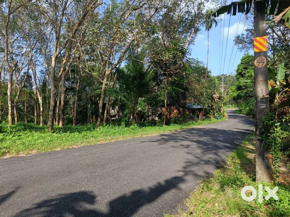 56 cent house plot for sale near  Kanyakulangara Trivandrum
