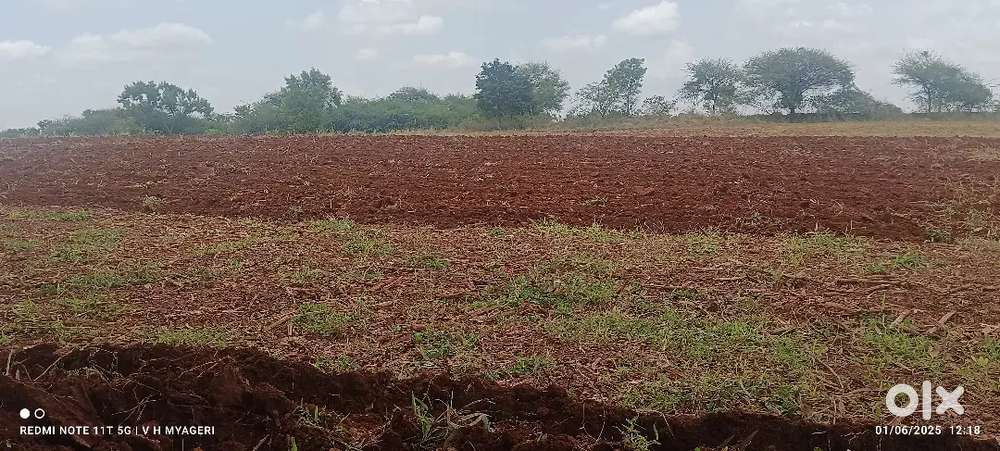 3.02 ಎಕರೆ.ಊರು. ಆಲದಕಟ್ಟಿ ತಾ. ಬಾದಾಮಿ