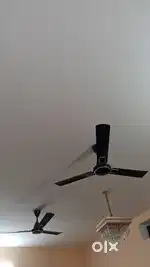 Ceiling Fan