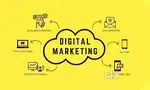 Digital Marketing Field office job