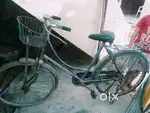 Ladies cycle