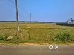 Selling 1 Bigha Land at Hanchara Highway. 7km from Teok