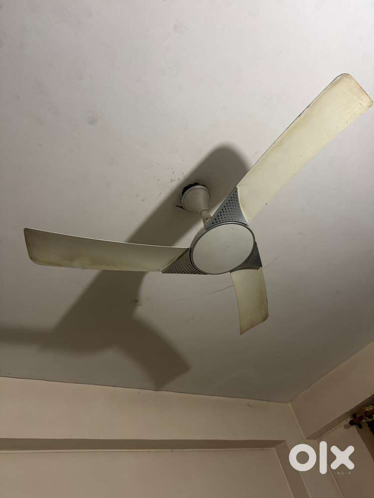 Luminous fan in bast condition no issue fan
