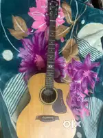 Guitar for music lovers