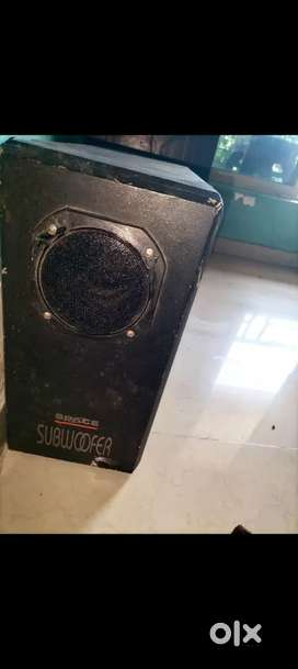 Space brand high power Subwoofer