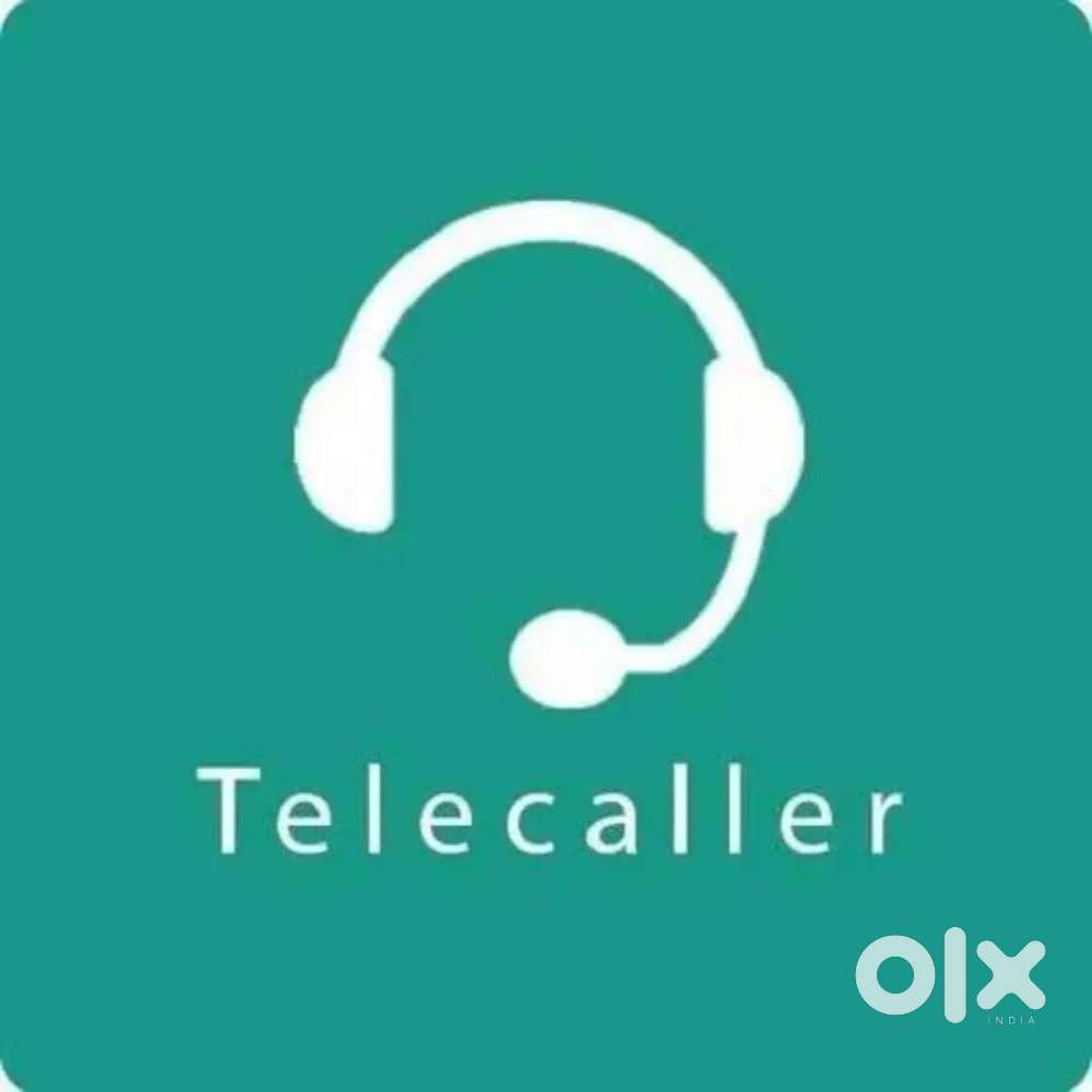 Team Leader and Telelcaller (sales officer)