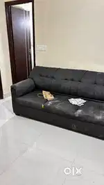 Need room mate