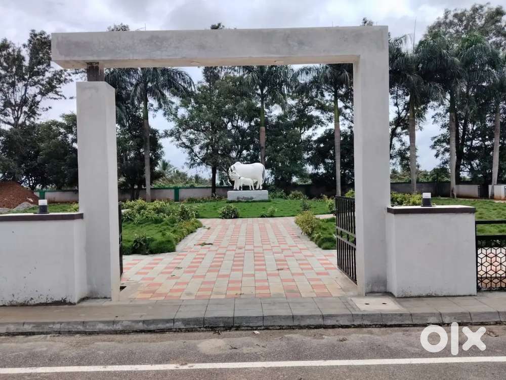 Selling plots and villas with wonderful amenities