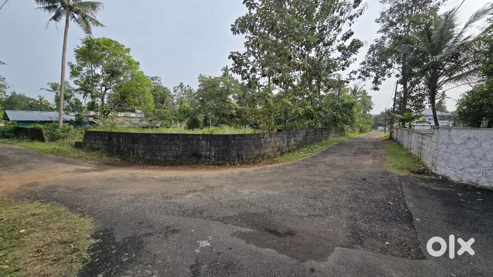 Angamaly karukutty 20 cent house plot for sale immediately