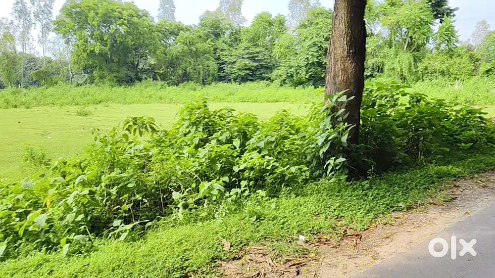 हाइवे टच प्रॉपर्टी – कमर्शियल उपयोग के लिए शानदार मौका